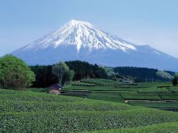 Mount Fuji